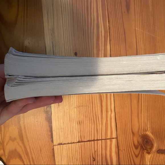 The bronze bow - Picture 8 of 8